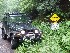 Forest Boundary FR 18